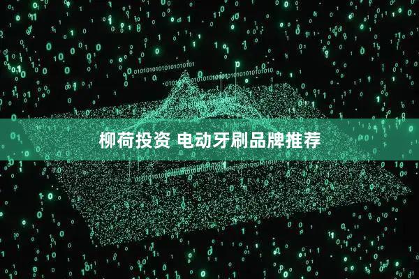 柳荷投资 电动牙刷品牌推荐