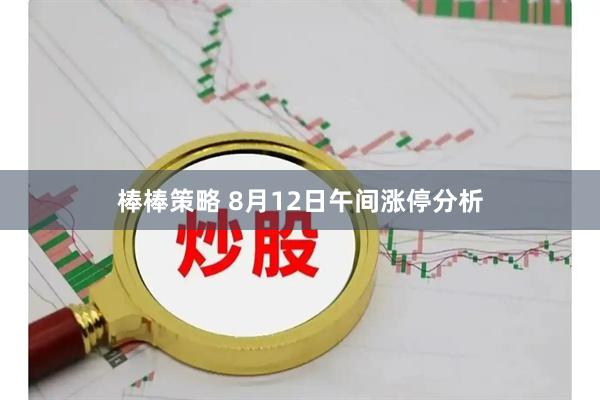 棒棒策略 8月12日午间涨停分析