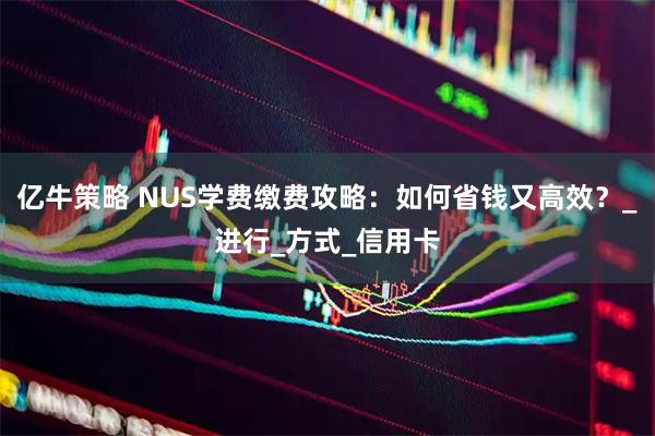 亿牛策略 NUS学费缴费攻略：如何省钱又高效？_进行_方式_信用卡