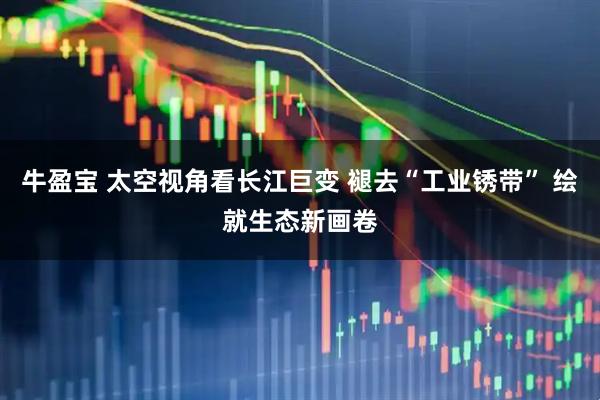 牛盈宝 太空视角看长江巨变 褪去“工业锈带” 绘就生态新画卷