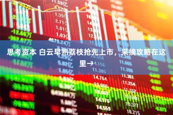 思考资本 白云早熟荔枝抢先上市，采摘攻略在这里→