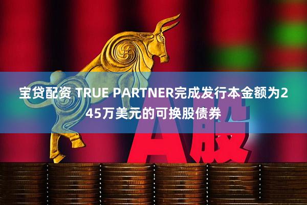 宝贷配资 TRUE PARTNER完成发行本金额为245万美元的可换股债券