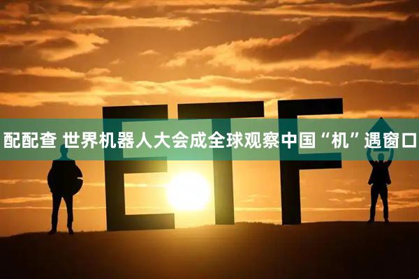 配配查 世界机器人大会成全球观察中国“机”遇窗口